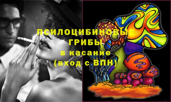 ГАЛЛЮЦИНОГЕННЫЕ ГРИБЫ Бугульма