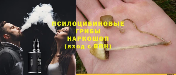 ешки Волоколамск