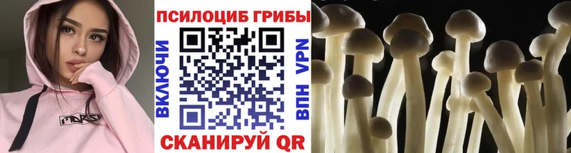 даркнет сайт  Видное  Псилоцибиновые грибы Magic Shrooms 